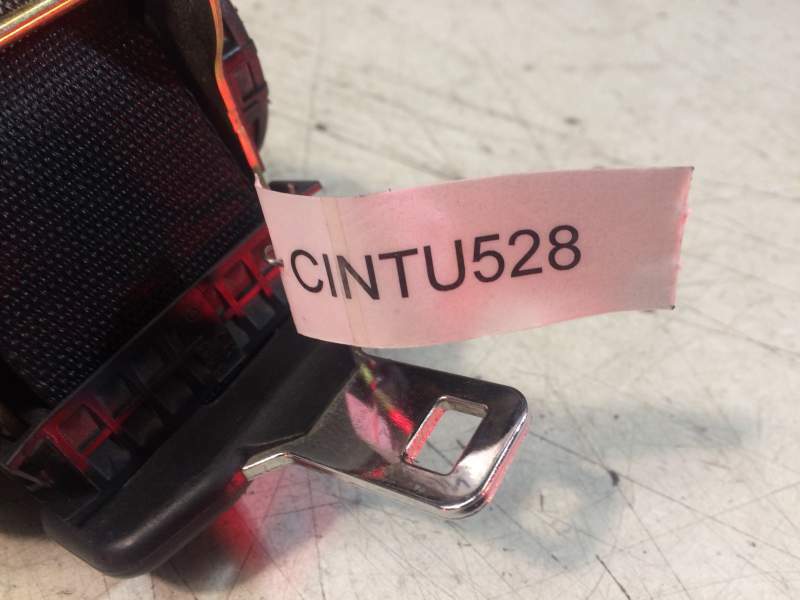 Cintura posteriore dx FORD FOCUS - CINTU528