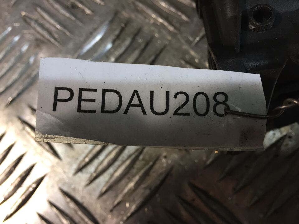 Pedale acceleratore Vw-Seat-Skoda dal 2007 PEDAU208