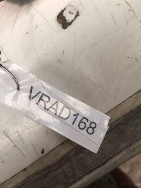 Ventola radiatore FIAT 600 - VRAD168